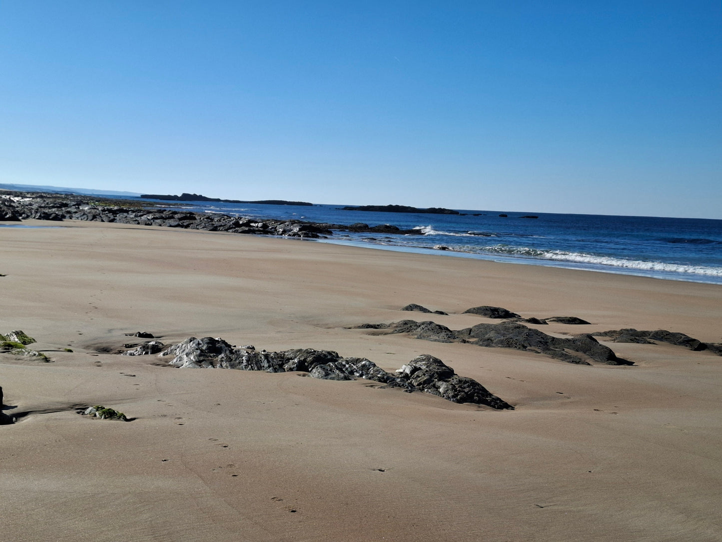 Caminhada | Plogging