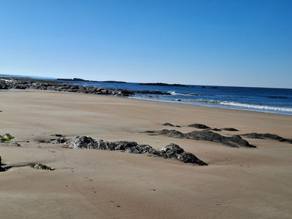 Caminhada | Plogging