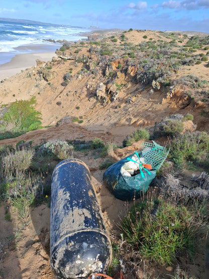 Caminhada | Plogging