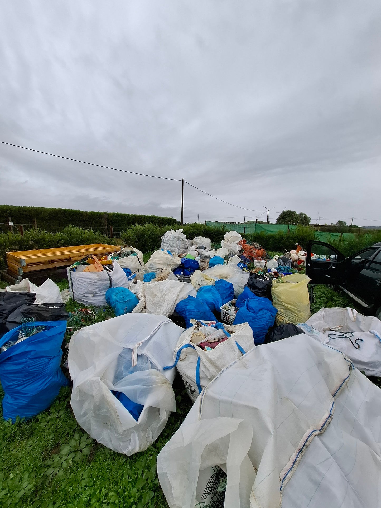 Caminhada | Plogging