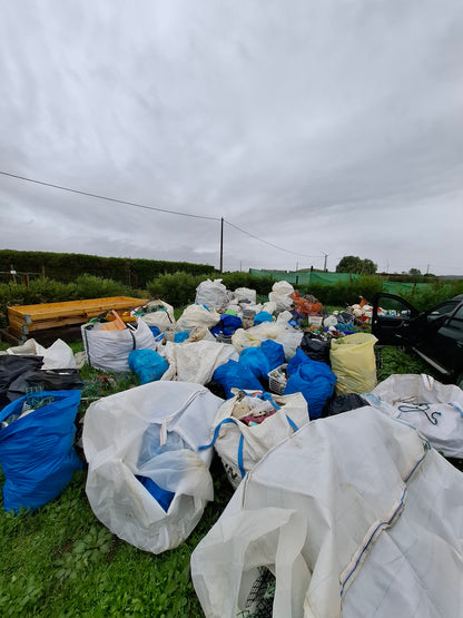 Caminhada | Plogging