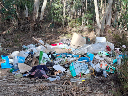 Caminhada | Plogging