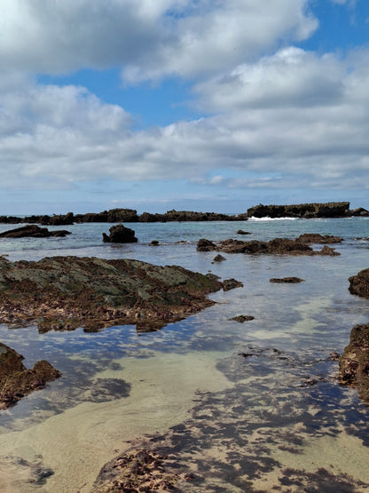 Caminhada | Plogging