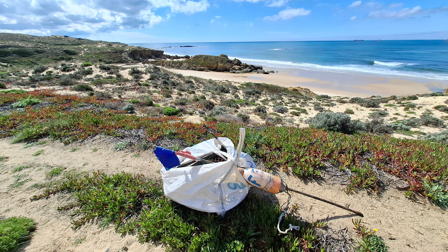 Caminhada | Plogging