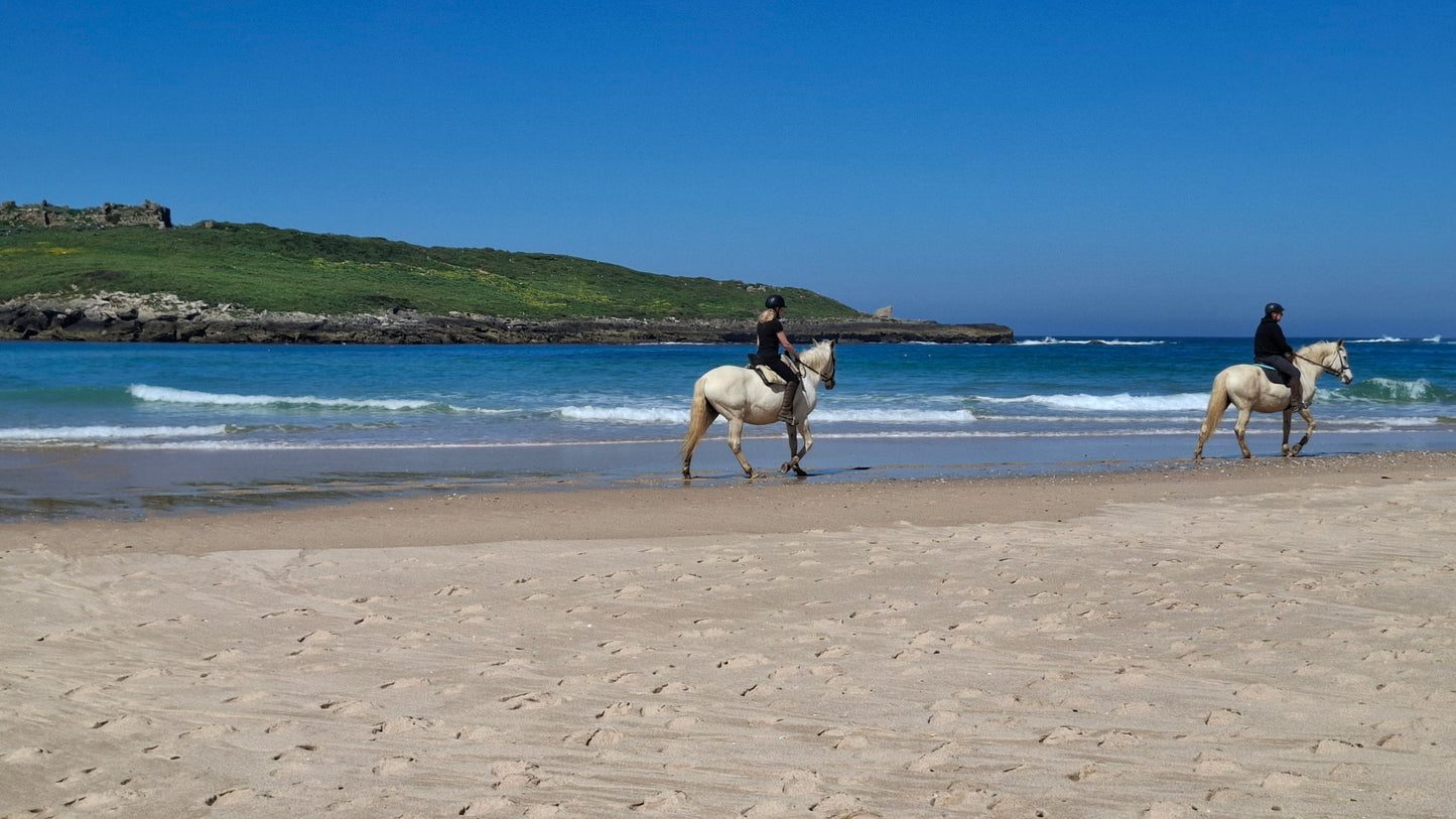 Caminhada | Plogging