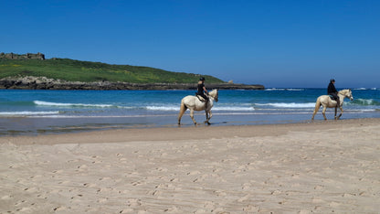 Caminhada | Plogging