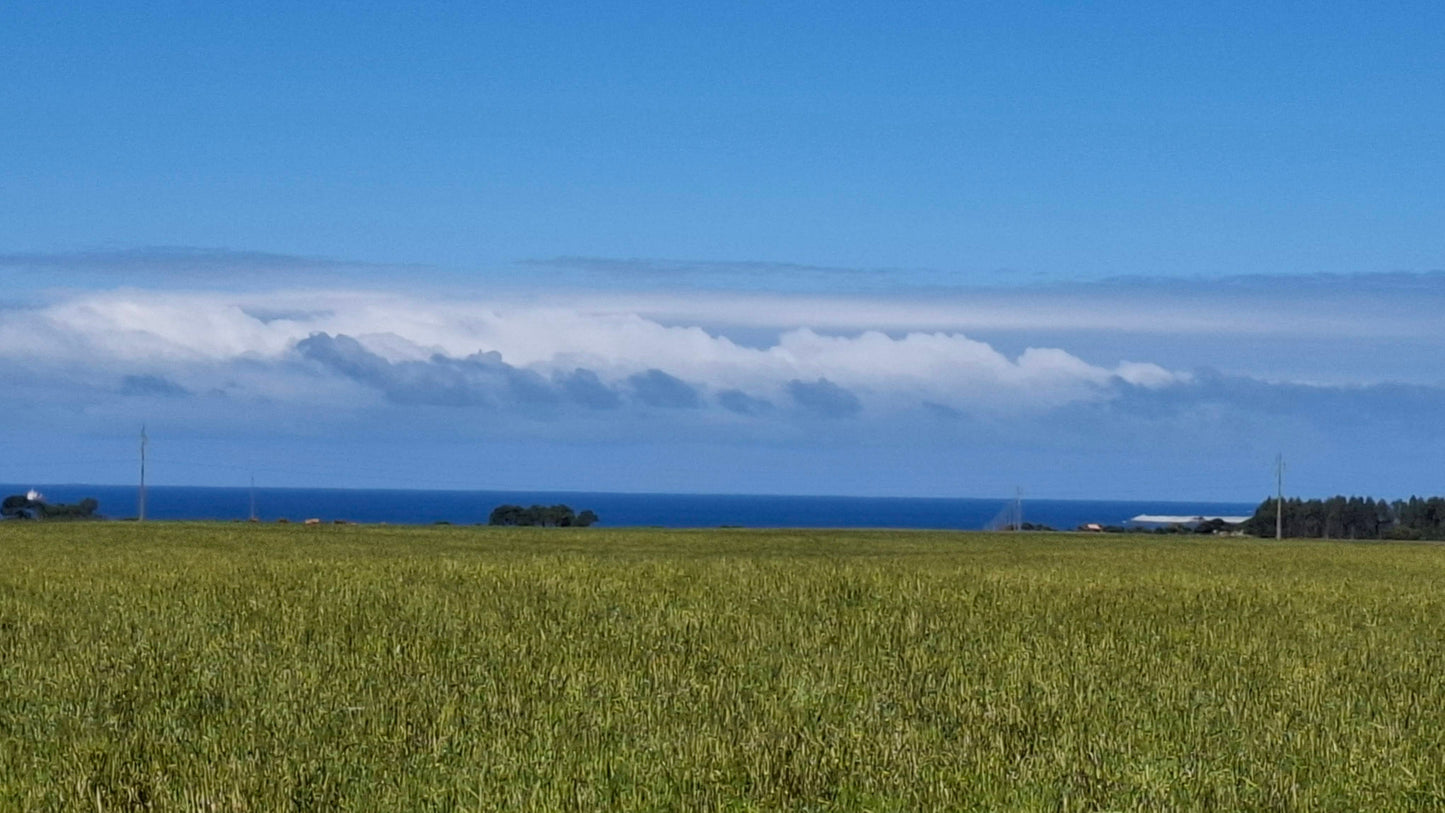 Caminhada | Plogging