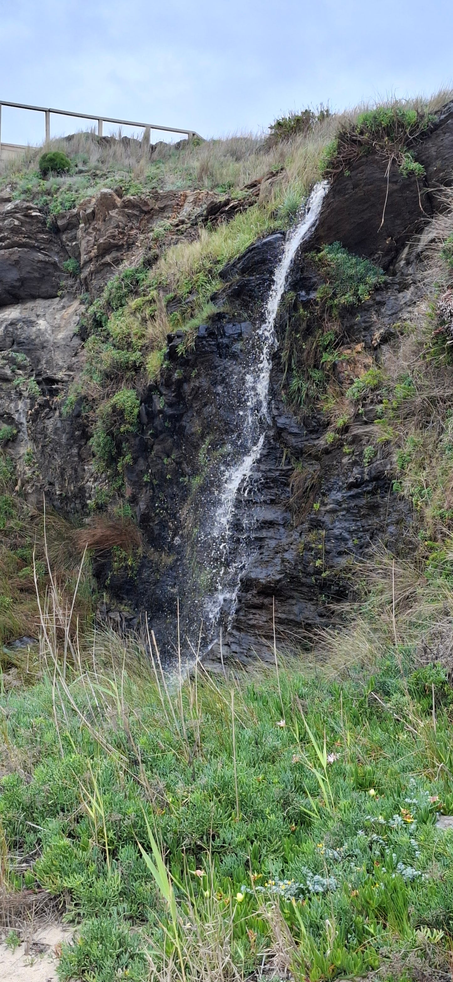 Caminhada | Plogging