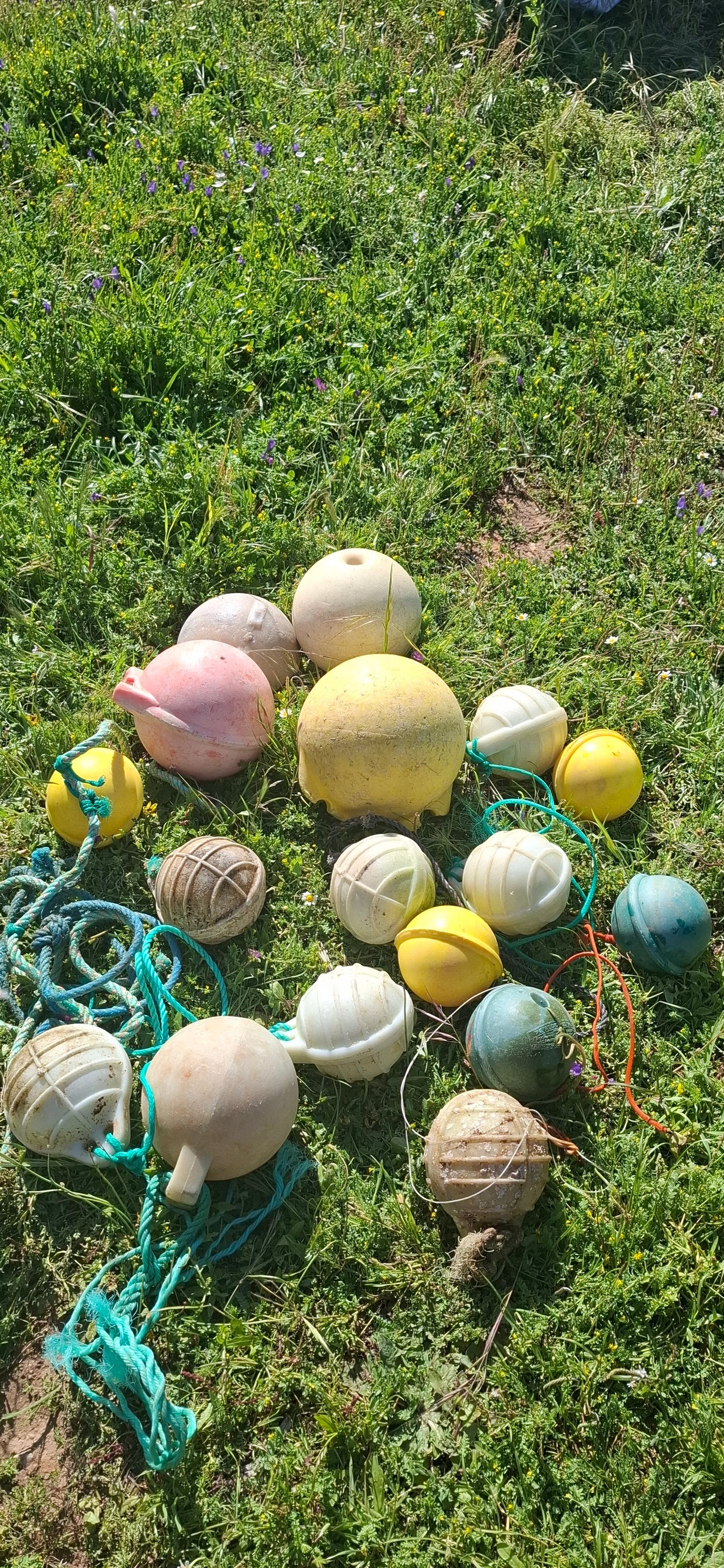 Caminhada | Plogging