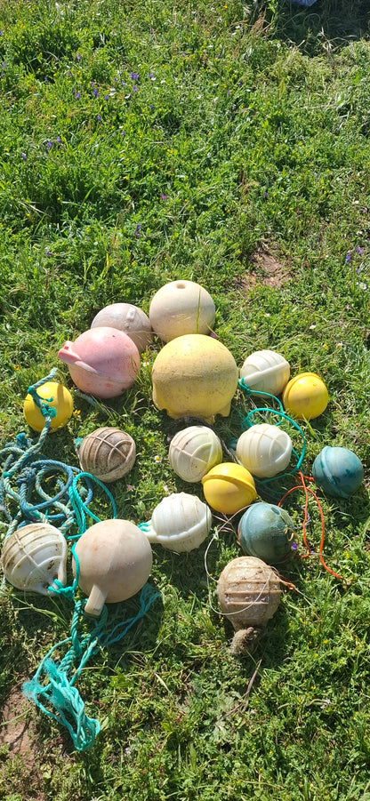 Caminhada | Plogging