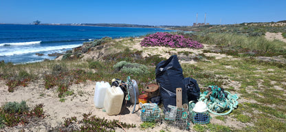 Caminhada | Plogging