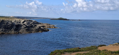 Caminhada | Plogging