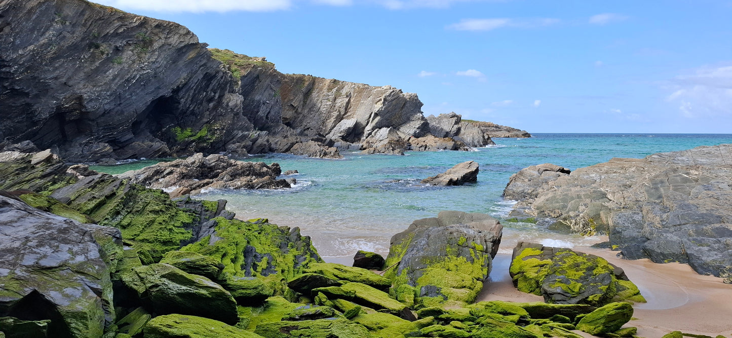 Caminhada | Plogging