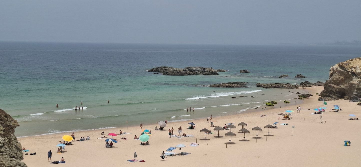 Caminhada | Plogging