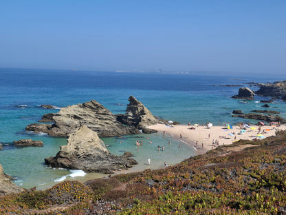 Caminhada | Plogging