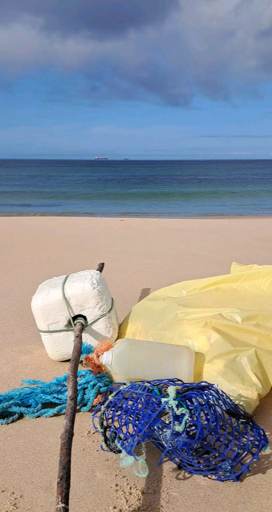 Caminhada | Plogging