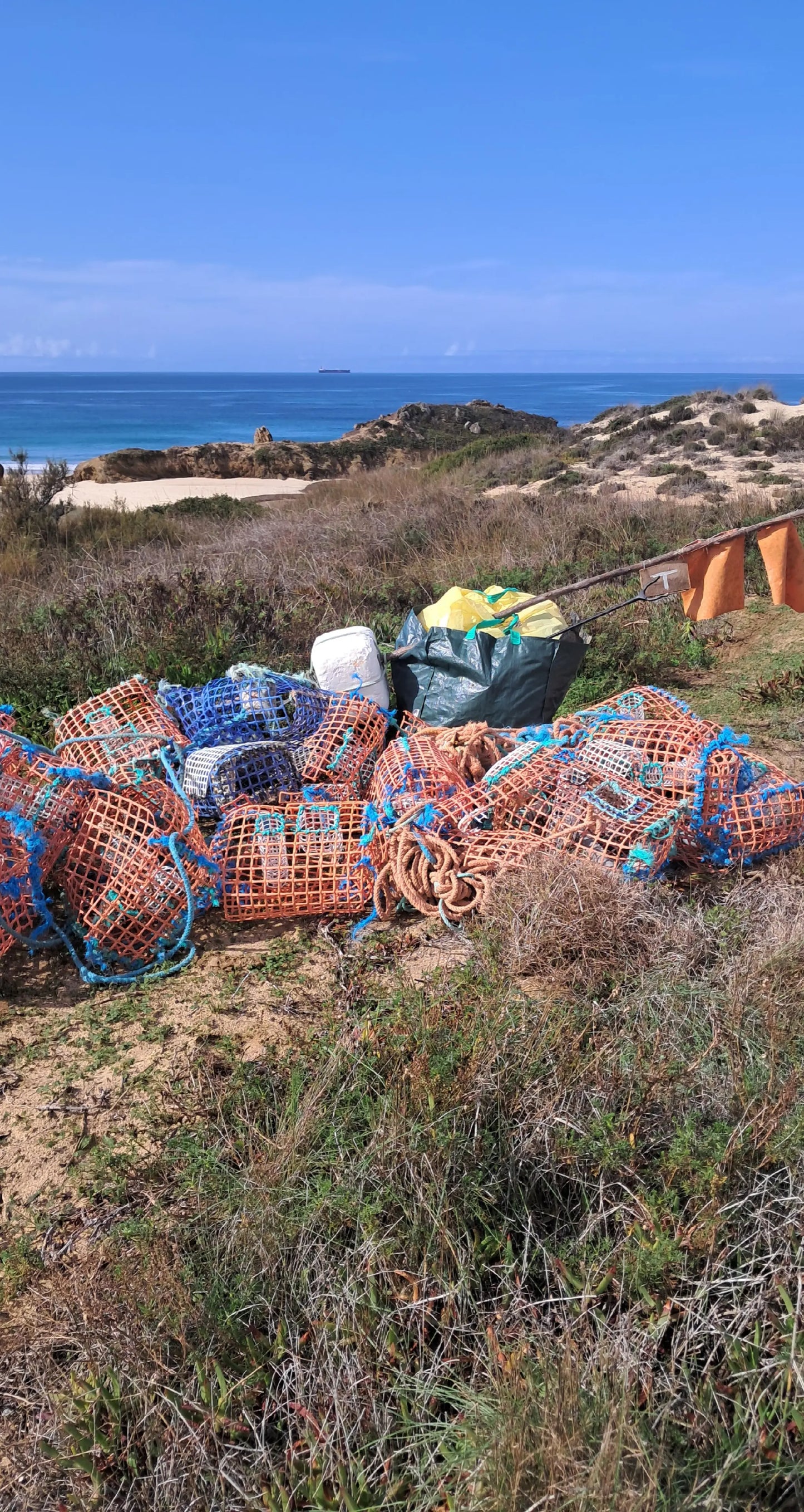 Caminhada | Plogging