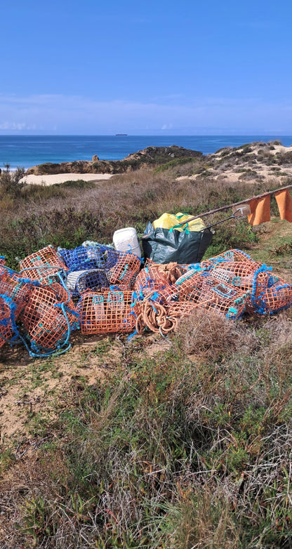 Caminhada | Plogging