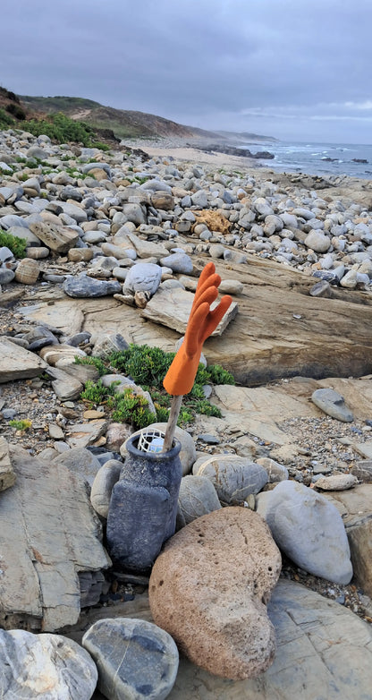 Caminhada | Plogging