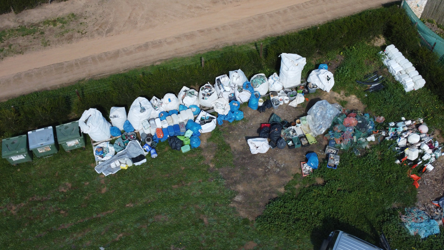 Caminhada | Plogging