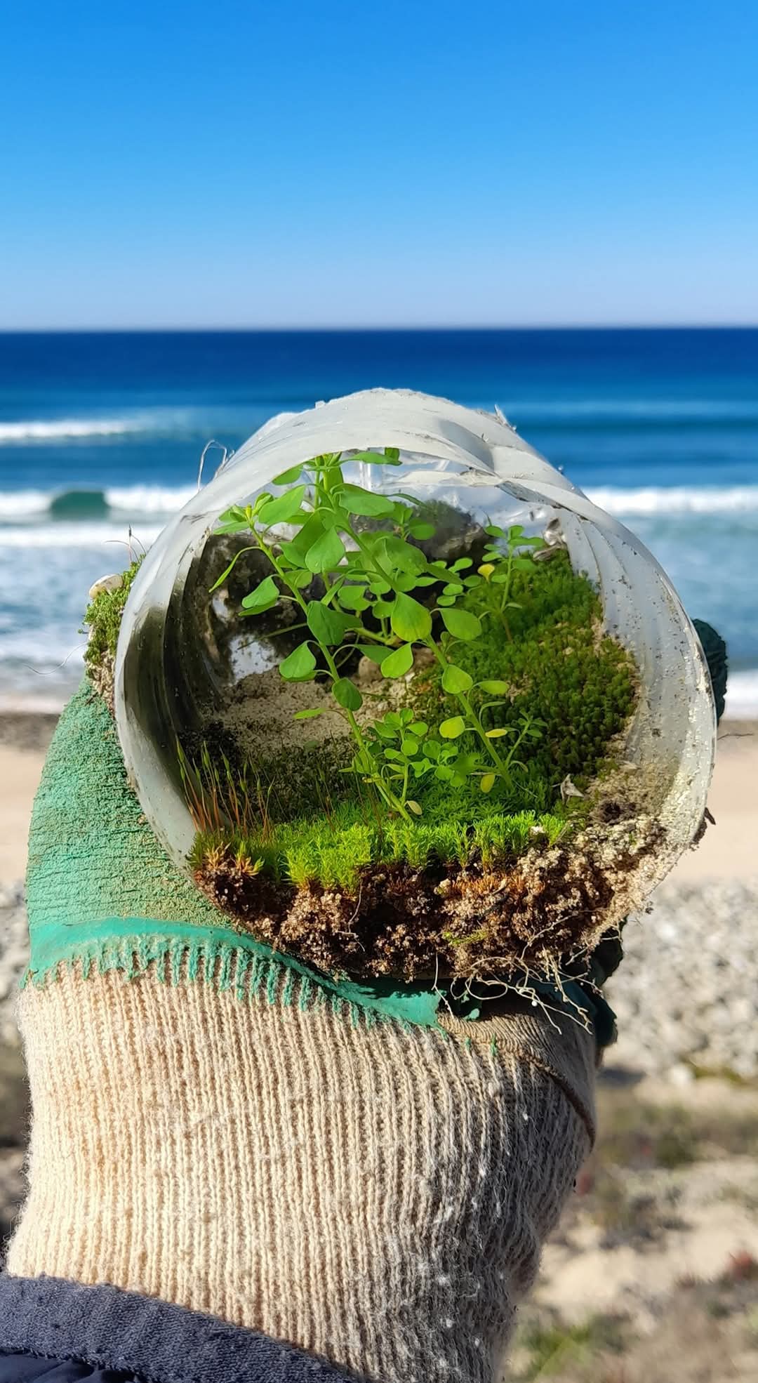 Caminhada | Plogging