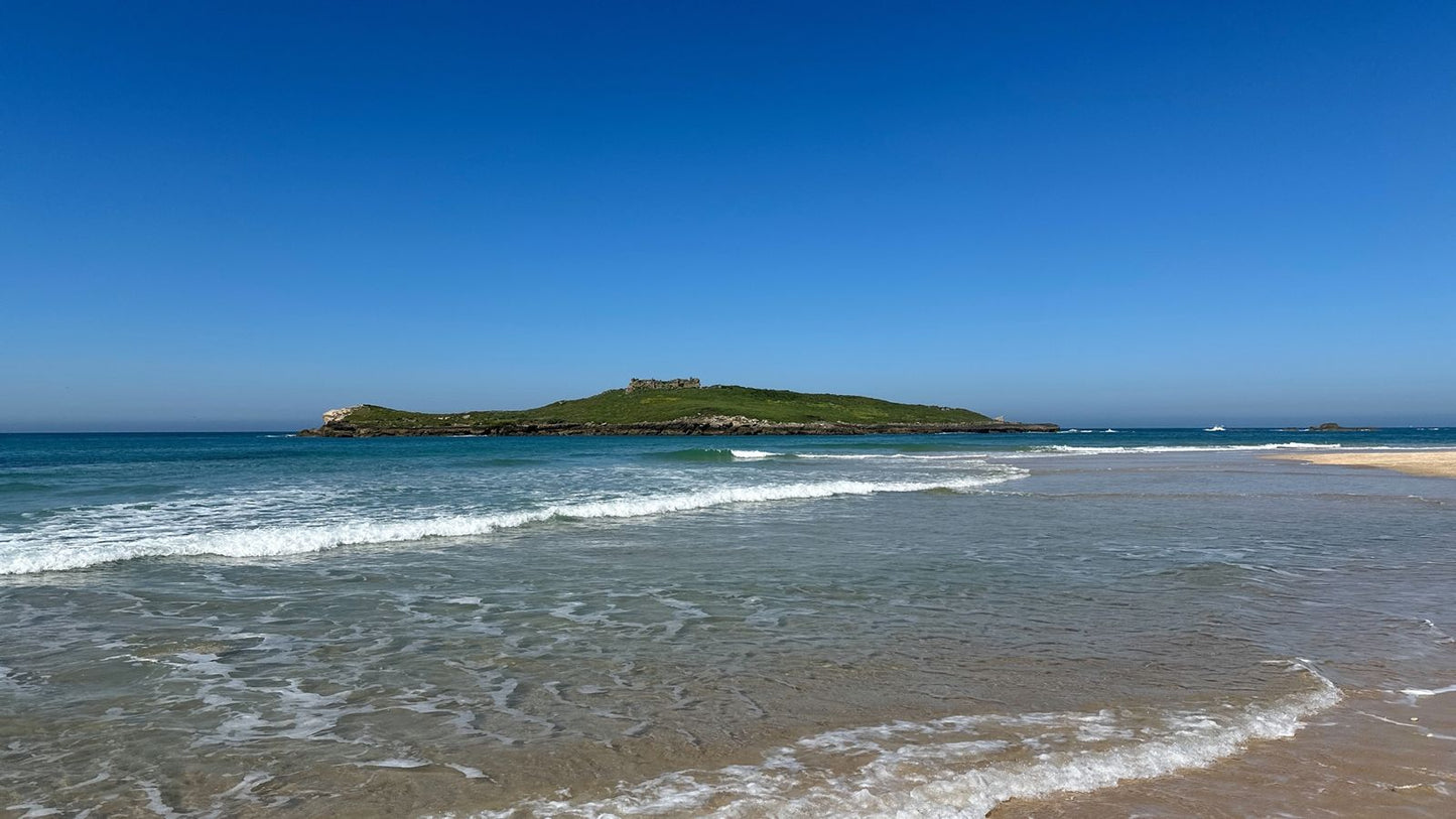 Caminhada | Plogging