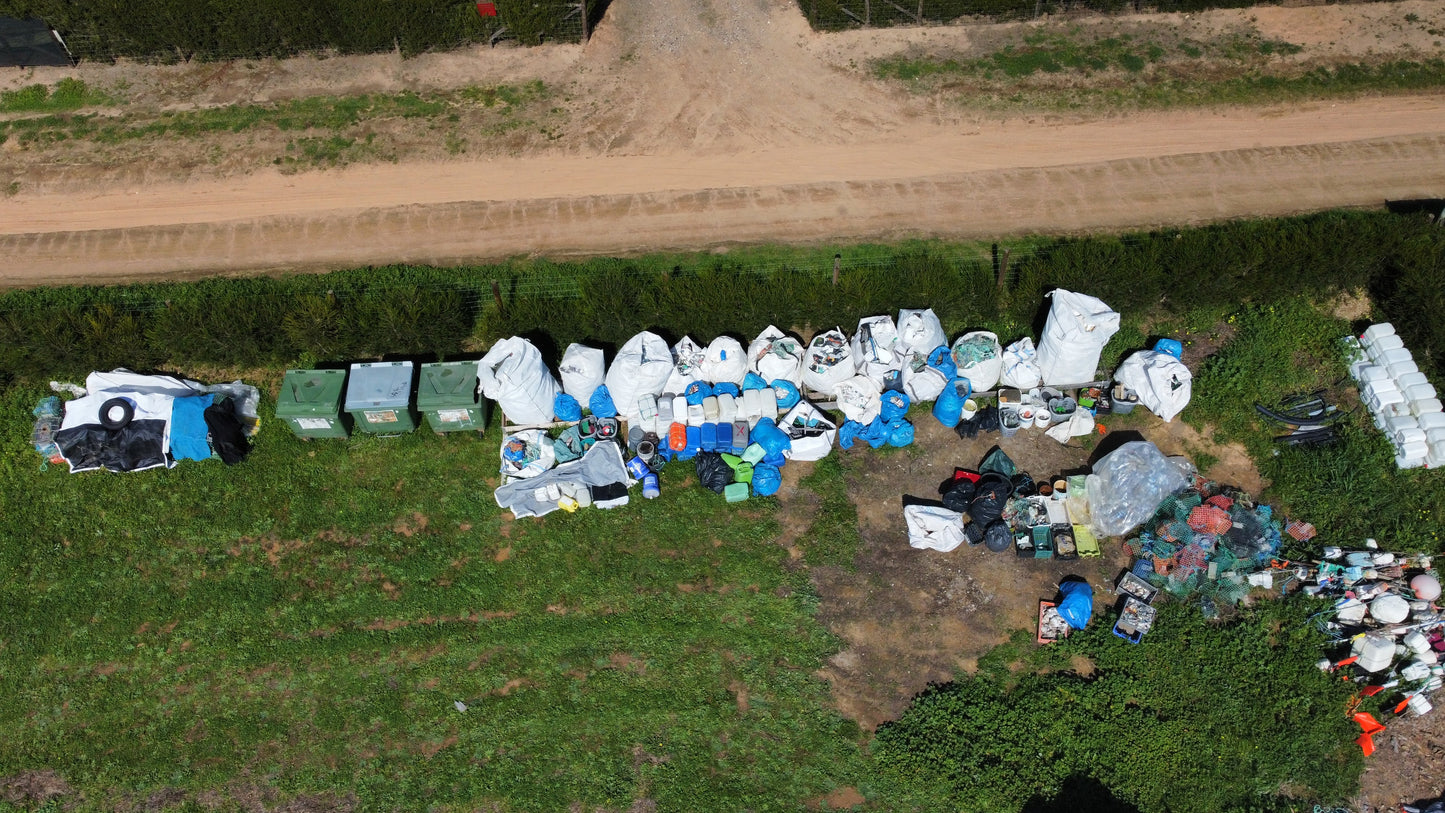 Caminhada | Plogging