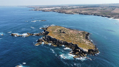 Caminhada | Plogging