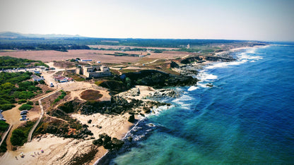 Caminhada | Plogging